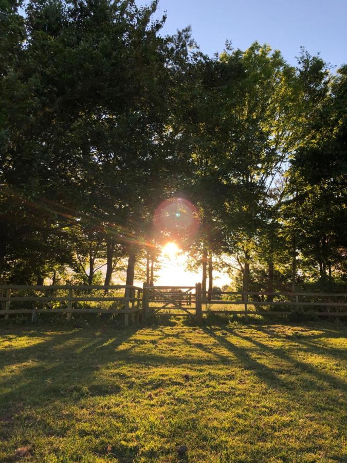 Nine Acres, Peaceful Hotel Brackley  Buitenkant foto